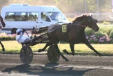 Arrivée du quinté du vendredi 30 mai à Vincennes : Unico Broline se paie les favoris
