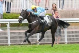Arrivée du quinté du samedi 31 mai à Auteuil : Fiction du Berlais ferme le ban avec brio