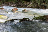 Hautes-Alpes : une sexagénaire britannique meurt en faisant du rafting