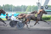 Arrivée du quinté du vendredi 19 juin à Vincennes : Irish Nice Elge ou la surprise belge