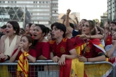 « Une frange de militants radicaux et intolérants » : sabotage sur l’écran géant de Bilbao en pleine finale de Coupe du monde