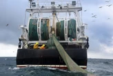 Les pêcheurs artisanaux du Finistère s’opposent à l’autorisation d’utiliser des chaluts de fond le long des côtes