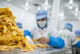 233 enfants intoxiqués au plomb dans une école maternelle en Chine, 8 personnes arrêtées