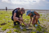 « Nous travaillons toute l’année » : des écogardes payés par l’écotaxe protègent les espaces naturels de l’île de Ré
