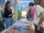 À Reims, ils gravent leur nom dans le marbre du Palais du Tau pour les siècles à venir