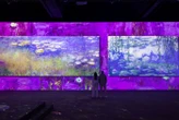 Toulouse : plongez dans les œuvres de Claude Monet avec une exposition immersive inédite en France