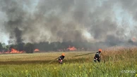 Un incendie détruit 17 ha de végétation des Marais de Sacy, la petite Camargue de l’Oise
