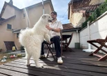 Bianca, un agent immobilier qui a du chien