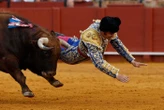 Encorné à la fesse lors d’une corrida à Séville, un grand torero raconte « la plus douloureuse » blessure de sa carrière