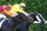 Arrivée du quinté du mardi 14 octobre à Chantilly : la plus belle ode de Bacchilide