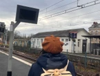 Île-de-France : RER, Transilien… une panne informatique impacte les affichages dans plusieurs gares