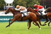 Arrivée du quinté du 31 août à ParisLongchamp : Bad Boy fait sauter la banque
