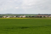 « Faut-il rester ici ? Dans la région ? » : des pesticides retrouvés dans les cheveux d’une enfant de 3 ans près de La Rochelle