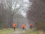 Calvados : effrayés par des tirs de chasseurs, quatre chevaux se blessent en fuyant leur enclos