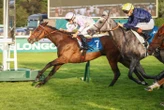 Arrivée du quinté du jeudi 28 mai à ParisLongchamp : Box Officer fait un carton !