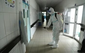 Ebola : un nouveau cas suspect identifié en Côte d’Ivoire, la Guinée cherche des cas contact