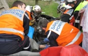 Doubs : un cheval retrouvé ligoté au fond d’un trou de 5 mètres, le propriétaire sera jugé