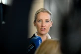 Allemagne : l’appellation « extrémiste » visant l’AfD levée provisoirement