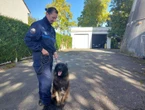 La Verrière : la policière agressée au couteau va être décorée par le préfet