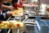 Intoxication alimentaire en colonie de vacances : les 18 jeunes hospitalisés en Dordogne victimes d’une rupture de la chaîne du froid