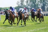 Quinté du mercredi 27 mai à Strasbourg : Shrihara enlève son premier événement