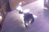 Un homme s’immole accidentellement par le feu en tentant d’incendier un restaurant en Australie