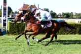 Arrivée du quinté du lundi 29 juin à Clairefontaine : Lunarosa au bout du suspense