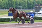 Arrivée du quinté du samedi 10 mai à Caen : Halo Am sur tapis vert