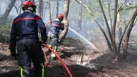 « Origine volontaire » possible, feu qui pourrait durer « des semaines »… Le point sur l’incendie en forêt de Fontainebleau