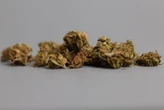 Des policiers brûlent 20 tonnes de cannabis, mais la fumée donne des hallucinations aux habitants d’une ville en Turquie