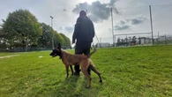 « Moi, maire de gauche, je passe aux sanctions »... A Magnanville, un maître-chien contre les incivilités