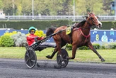 Arrivée du quinté du samedi 12 avril à Paris-Vincennes : Kana de Beylev ne laisse pas passer sa chance