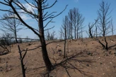 « Quasiment tous les jours des reprises » : l’incendie géant de l’Aude, toujours pas éteint, menace encore