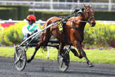 Arrivée du quinté du samedi 22 mars à Paris-Vincennes : Karambar et Alexandre Abrivard gâtent leurs preneurs