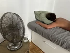 Canicule : climatiseur, ventilateur… combien cela vous coûte de les laisser allumés toute la nuit ?