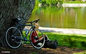 Dans le Loiret, l’équipementier vélo Zéfal profite de l’éclipse asiatique