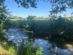 Aube : les prairies humides de Davrey, un atout dans la lutte contre le dérèglement climatique et pour préserver la biodiversité