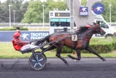 Arrivée du quinté du mercredi 14 mai à Paris-Vincennes : Jazzman hausse le ton