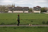 Aiguilles et empoisonnement : d’étranges périls pour les chiens le long de l’Orne à Caen