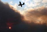 Corse : deux incendies se déclarent près de Saint-Florent, plus de 175 hectares parcourus