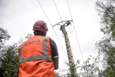 Coupure de courant à Cannes : la piste d’un « acte malveillant » privilégiée après la dégradation d’un pylône électrique