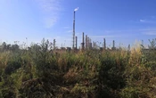 Transition écologique : à Lyon, Bruno Bernard veut accélérer la mutation de la Vallée de la chimie