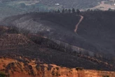 « Cet épisode terrible est en train de se refermer » : la lutte contre les incendies en Espagne touche à sa fin
