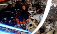 « C’est génial d’avoir des nouvelles de la Terre ! » : et après 40 minutes de perte de signal, les astronautes d’Artemis II redonnèrent signe de vie