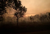 DIRECT. Incendie en Gironde : la préfecture ordonne l'évacuation des «premiers villages de la presqu'île du Cap-Ferret»