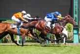 Arrivée du quinté du jeudi 1er mai à Saint-Cloud : Guiness Star double la mise en solo