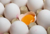 Poisson, œufs, lait, viande… Une ONG dénonce « une contamination généralisée » des aliments aux polluants éternels