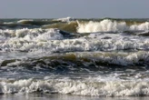 Des touristes découvrent par hasard des restes humains vieux de 200 ans sur une plage