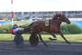 Arrivée du quinté du vendredi 23 mai à Vincennes : Just A Lady offre un coup de 3 à Théo Duvaldestin