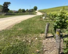 Aube : le Val des Vignes à Ailleville, une randonnée au riche passé historique